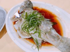 -老字号蛇口德记烧腊饭店·海鲜加工