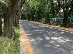 -南国桃园旅游度假区