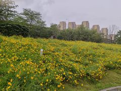 -光明港公园