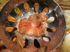 -野菌皇海景野生菌火锅(滨海大道店)