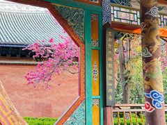 -巍山古城