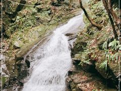 -藏龙百瀑风景区