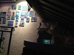 -Sirena海妖日咖夜酒