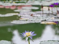 -国家植物园南园
