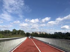 -白鹭湾湿地公园