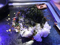-火牛火韩式烤肉韩国料理(韩乐坊店)