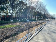 -玄武湖景区-情侣园游乐场