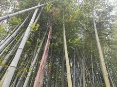 -汇龙潭