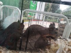 -西安秦岭野生动物园