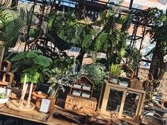 -北马山庄植趣咖啡
