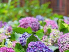 -大妙火锅·非物质文化遗产(东湖公园店)