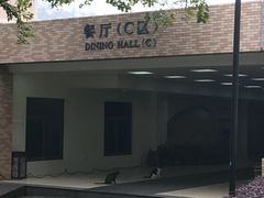 -厦门国家会计学院