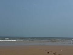 -日照海滨国家森林公园