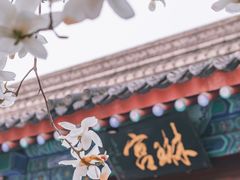 -万寿八仙宫