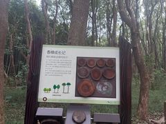 -同里国家湿地公园