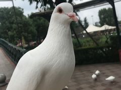 -国色天乡三期陆地乐园