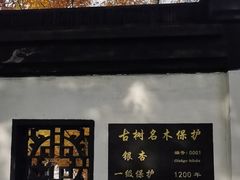 -秋霞圃
