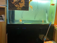 -鳗鱼家·深夜食堂(军博店)