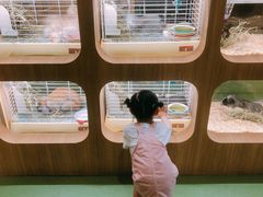 -藦茜花园宠物主题亲子互动体验馆(国顺东路店)