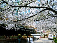 -玛格萝妮比萨屋(四平店)