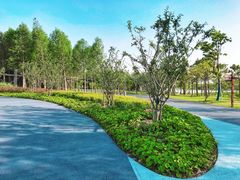 -南汇新城城市公园