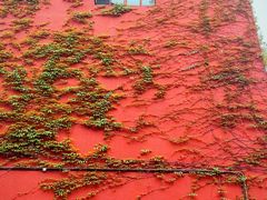 -海峡创意产业园