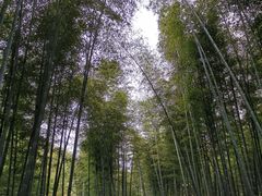 -天目湖御水温泉·度假酒店