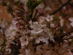 -龙美术馆(西岸馆)