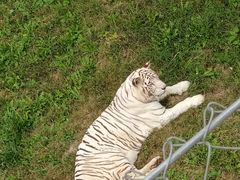 -石家庄市动物园