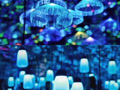 -天津梵高星空艺术馆(天河城旗舰店)