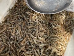 -正宗天津烧麦馆(柳州路店)