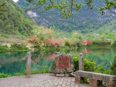 -靖西鹅泉风景区