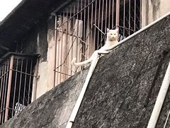 -石炮台公园