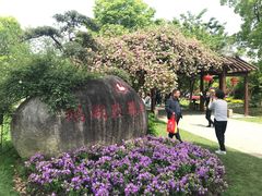 -鹅湖玫瑰文化园