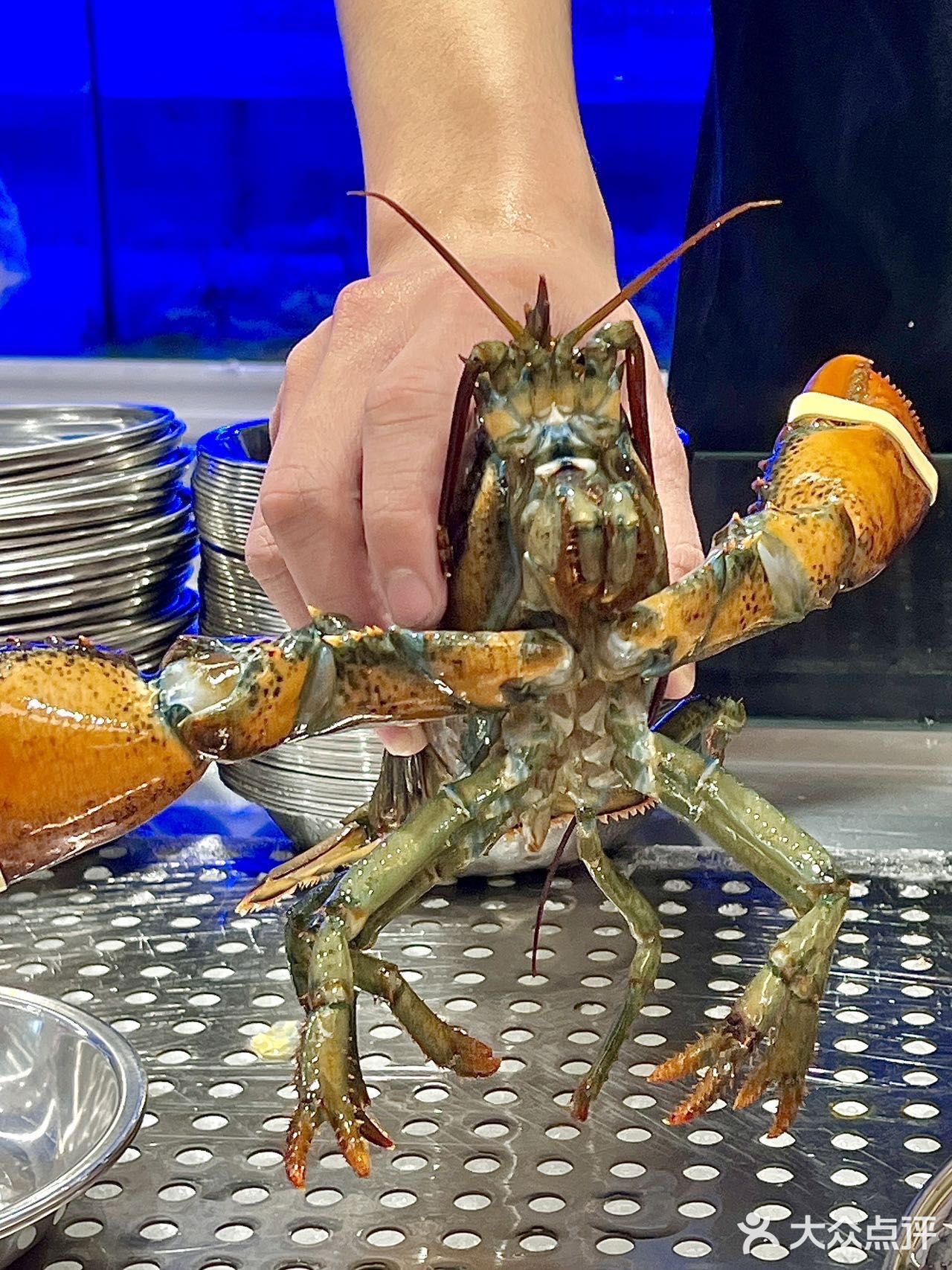 哇塞的我找了家哇塞的店～