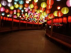 -郑州方特梦幻王国