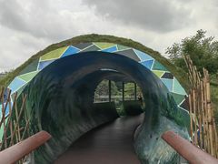 -福田红树林生态公园