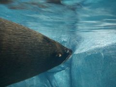 -福州罗源湾海洋世界旅游区