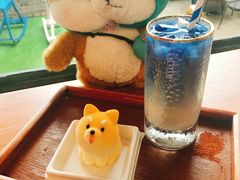 -柴犬高等学院·狗咖·柴犬售卖·宠物训练