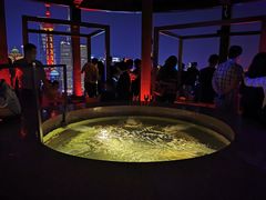 -非常时髦餐厅VUE Restaurant(外滩茂悦大酒店)