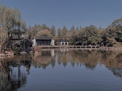 -红梅公园