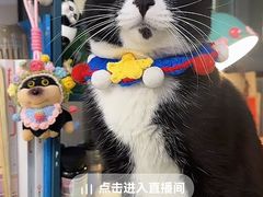 -中国石化长江道加油站