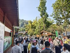 -野象谷景区