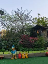 点击看大图 -可可天空农场(中大店)