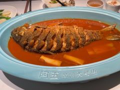 -阿五黄河大鲤鱼(英协路店)