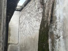 -乌镇东栅景区
