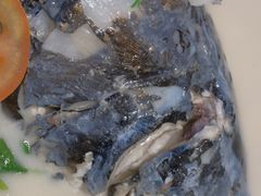 -全乐鱼馆·淳牌有机鱼直营店