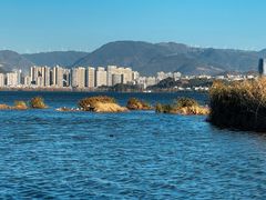 -洱海月湿地公园