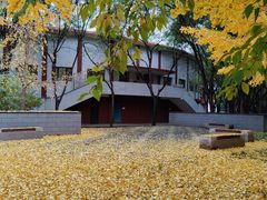 -中国政法大学(昌平校区)