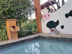 -郑州银基黄帝宫御温泉